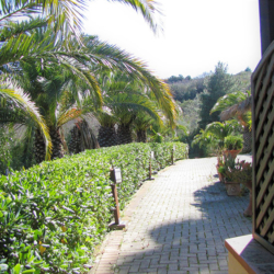 Residence Al Barcoco - Elba