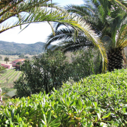Residence Al Barcoco - Elba