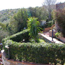 Residence Al Barcoco - Elba